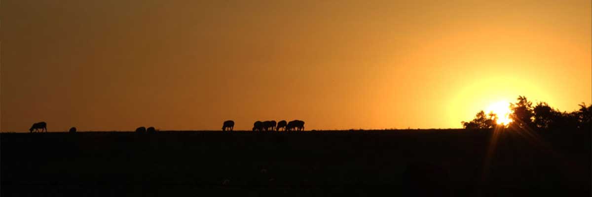 Невероватна Галаксија Андромеда